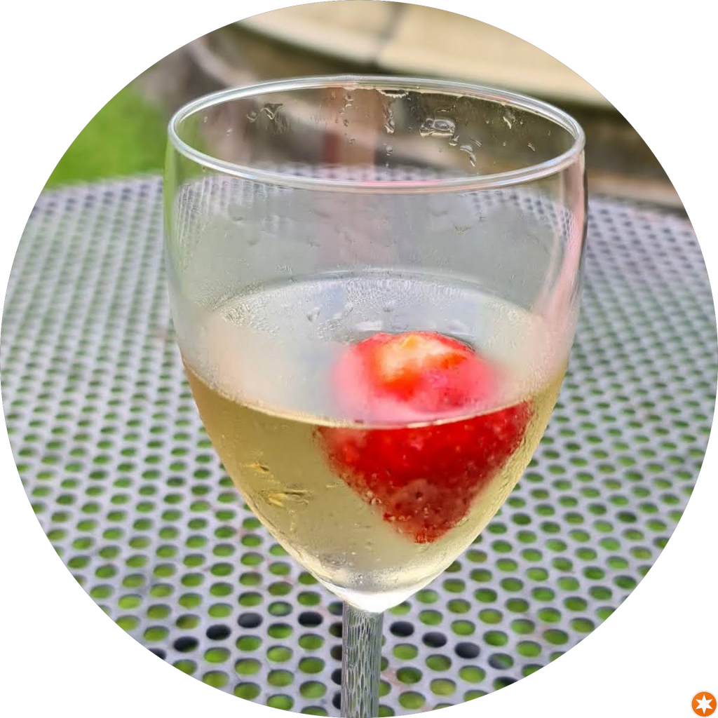 Mr. Nobody recenze Poladent